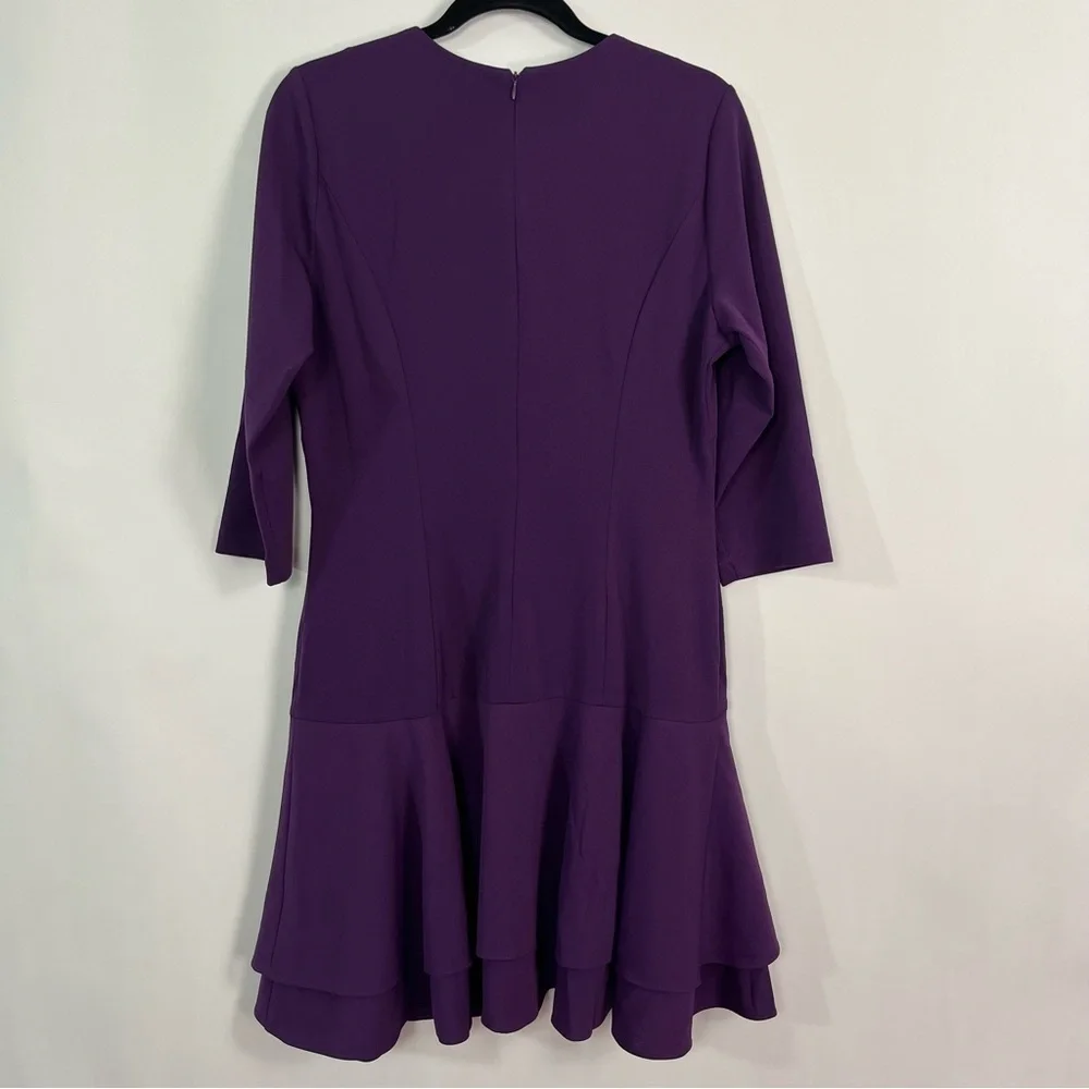 Danny and Nicole Fit and Flare Ruffle dress sz 12 NWT - Picture 5 of 8